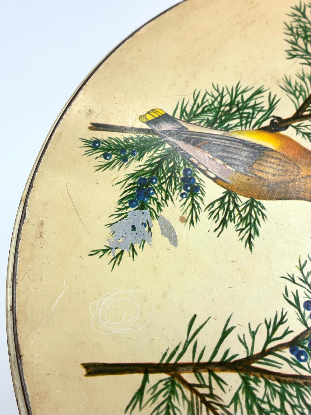 Vintage Tom Sturgis Bird Tin Round Metal Storage Box Cottagecore - Picture 14 of 16
